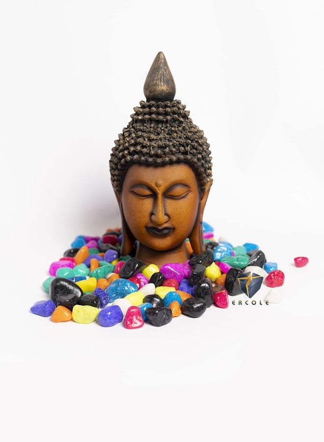 Ercole® Multi Colour Polished Pebble Stones for Garden Landscaping Aquarium and Home Decor (Multi-Colour, 3 Kg) - Image 3